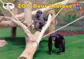 propagace dvur_kralove 1813
