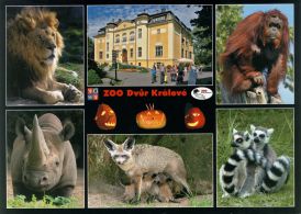 propagace dvur_kralove 1791