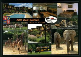 propagace dvur_kralove 1793