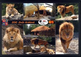 propagace dvur_kralove 1799