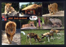 propagace dvur_kralove 1801