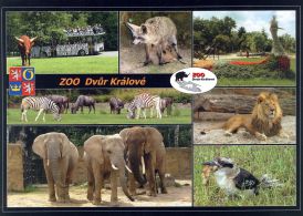 propagace dvur_kralove 1794