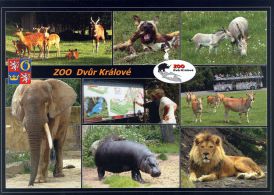 propagace dvur_kralove 1795