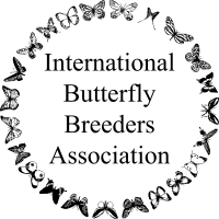 ibba01c.gif