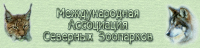 inaz02a.jpg