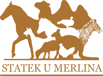 logo Statek U Merlina