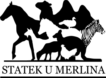 logo Statek U Merlina