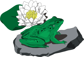 logo Čabárna Water Park