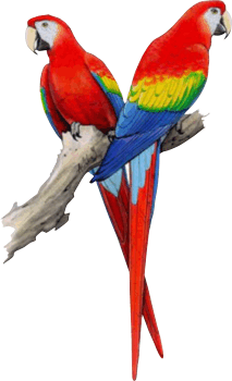 logo Voliéry exotického ptactva Letohrad