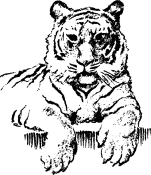 logo Zoo Plzeň