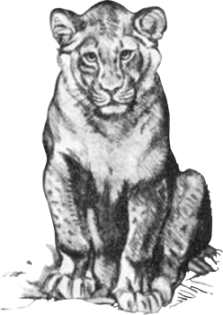 logo Zoologická zahrada Praha