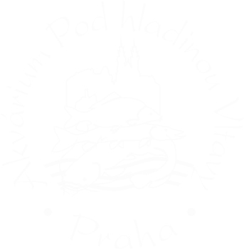 logo  Aquarium Under the surface of Vltava
