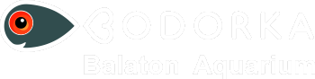 logo Bodorka Balaton Aquarium (Bodorka = common roach)