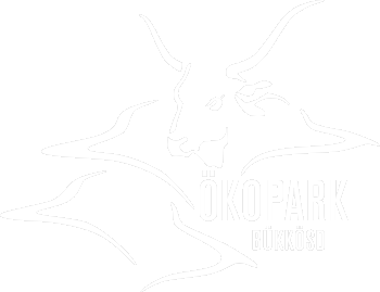 logo Bükkösd Ecopark