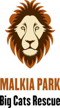 logo Malkia Park