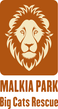 logo Malkia Park