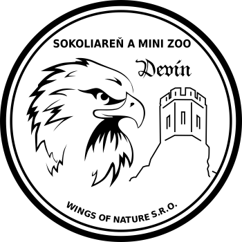 logo Devín Falconry and Mini zoo