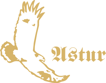 logo Červený Kameň Falconry court Astur