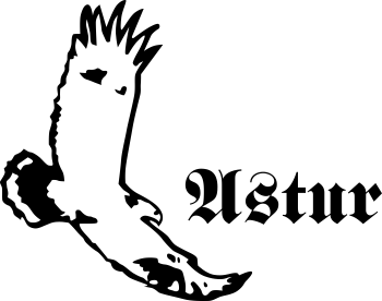 logo Červený Kameň Falconry court Astur